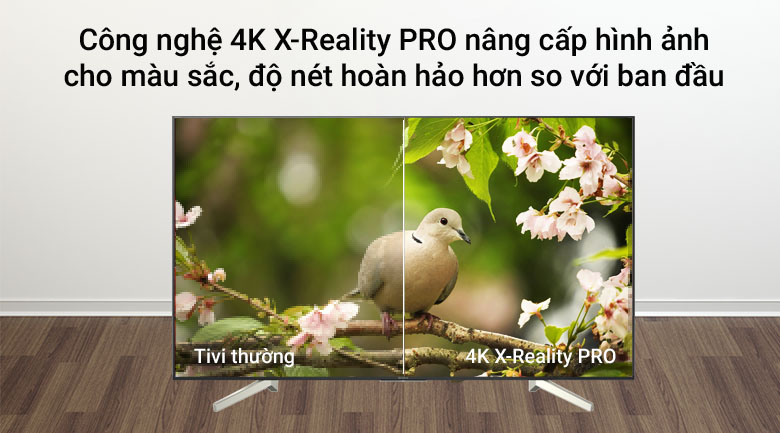 vi-vn-cong-nghe-4k-x-reality-pro