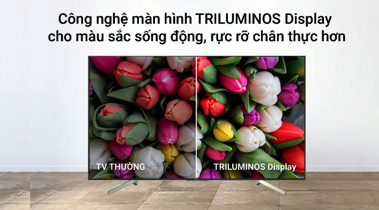vi-vn-cong-nghe-triluminos