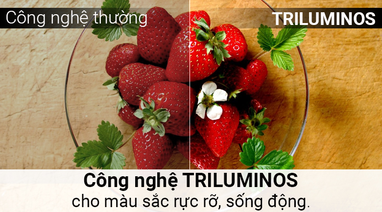 vi-vn-4—ruc-ro-song-dong