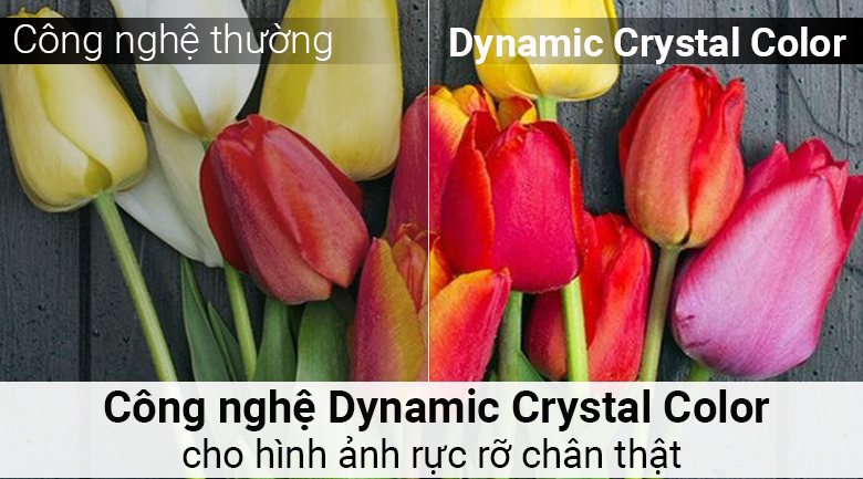 vi-vn-5—dynamic-crystal-color